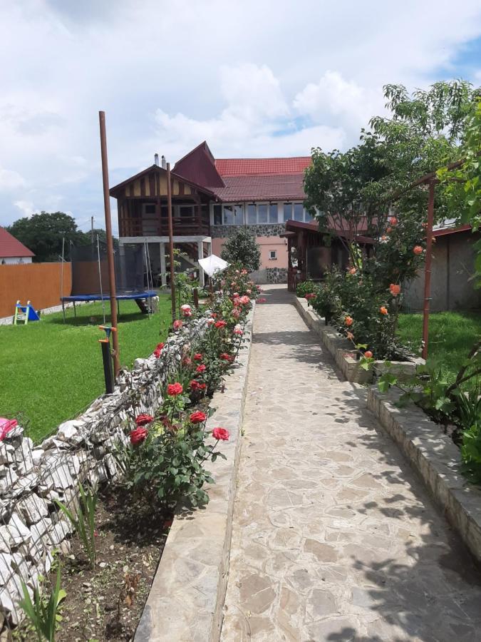 Casa Luca Hotel Sâmbăta de Sus Exterior photo